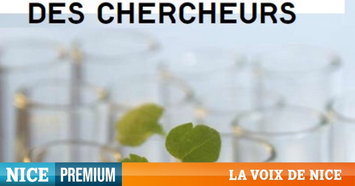 Printemps Des Chercheurs Alpes Maritimes Recherche Et