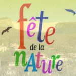 fete_nature.jpg