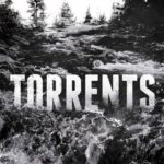 torrents.jpg