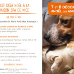 programme-noel-nice-2019.jpg