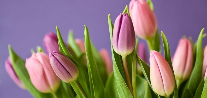 Bouquets de fleurs pour le printemps : osez de nouvelles idées !