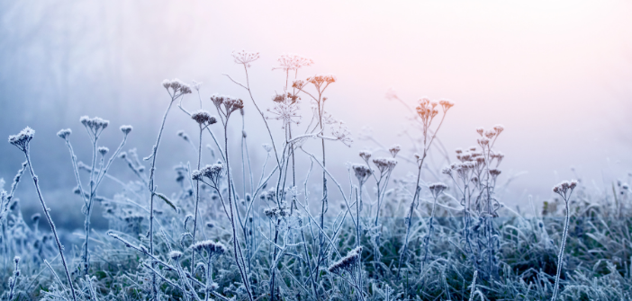 Doit-on s’attendre à une vague de froid à partir de ce dimanche ?