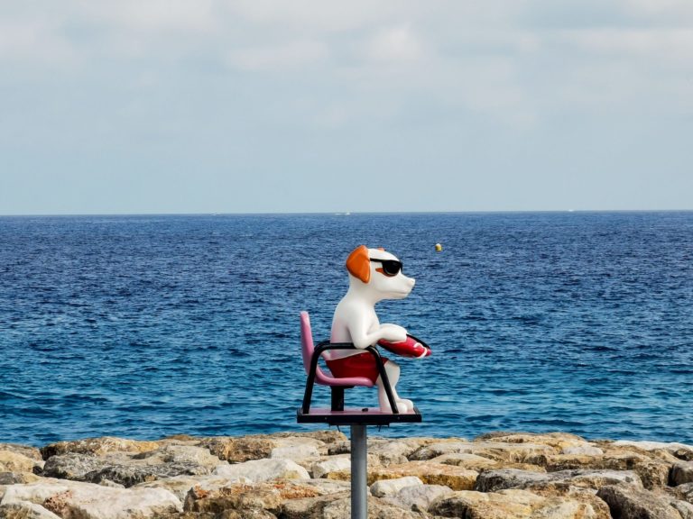 Nice élue pour la deuxième année consécutive « Ville où il fait bon vivre avec son chien »