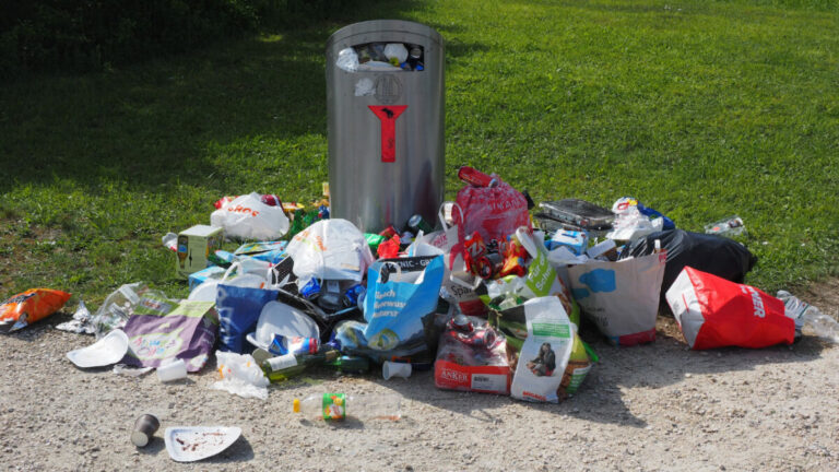 « Nettoyons le Sud ! » : la grande opération de ramassage de déchets