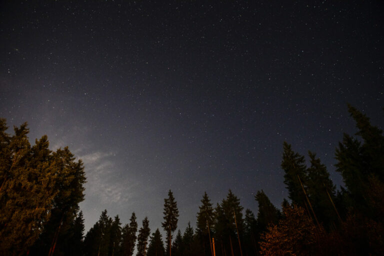 Laisser briller les étoiles pour célébrer le Jour de la Terre