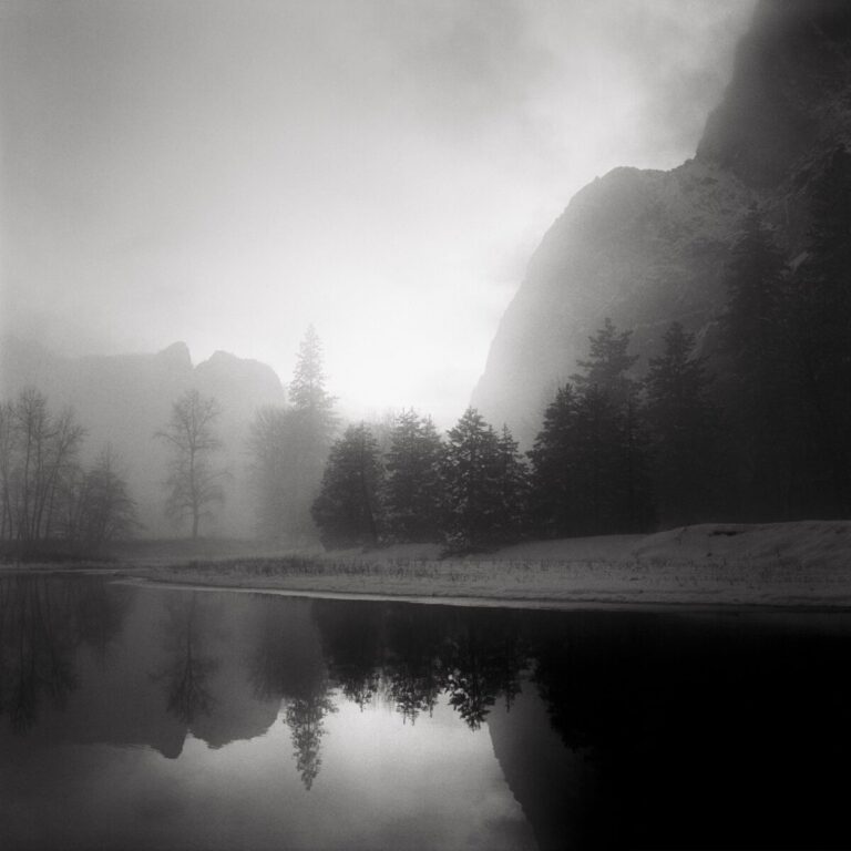 « Une ode à la nature » au Musée de la Photographie Charles Nègre