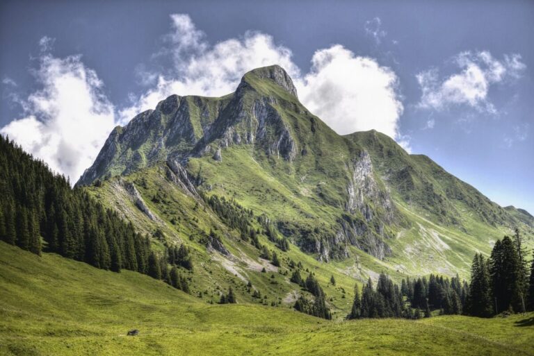 Est-il sûr de conduire en Suisse ? Les avantages et les inconvénients