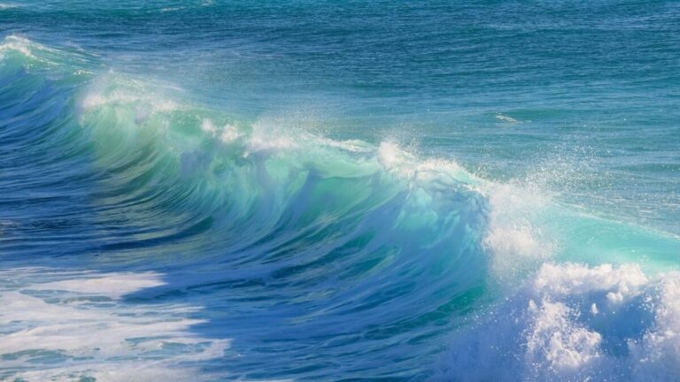 Nice va célébrer l’Année de la Mer en 2025