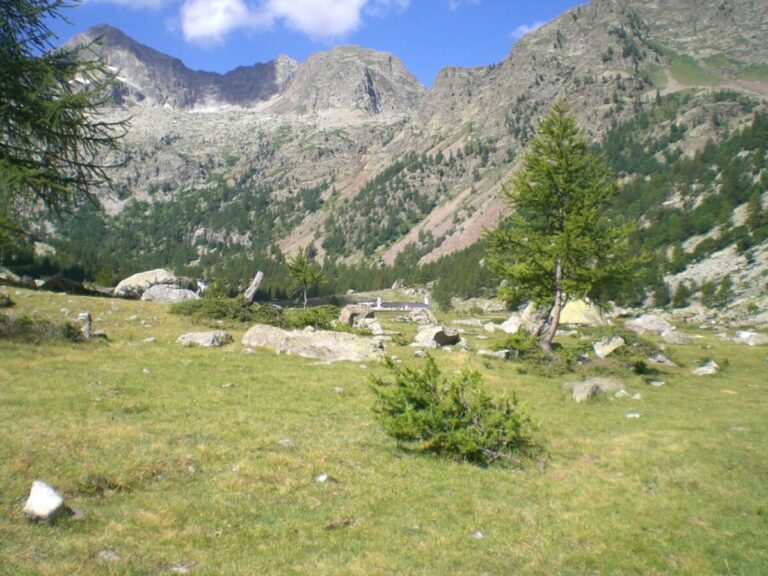 Conférences : « Deux siècles d’études du patrimoine naturel »