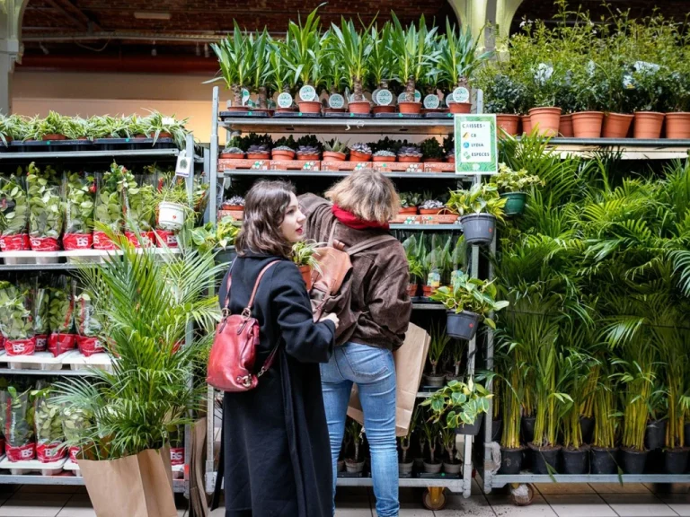 « Plantes Pour Tous » revient avec ses plantes à bas prix !