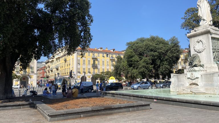 Un des chênes emblématiques de la place Garibaldi a été abattu