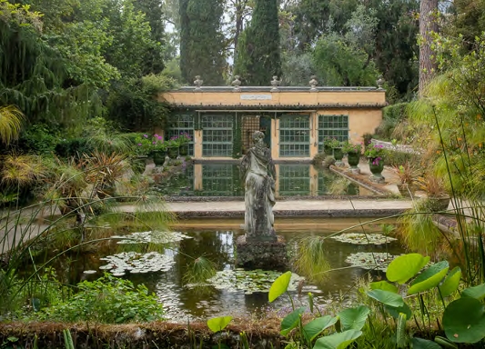 jardin avec verdure et bâtisse en arrière plan